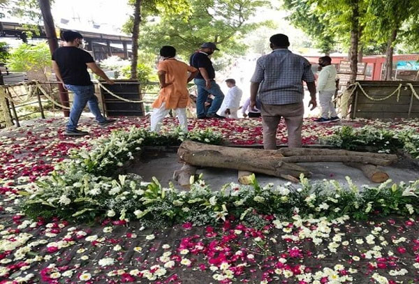 Cremation Services